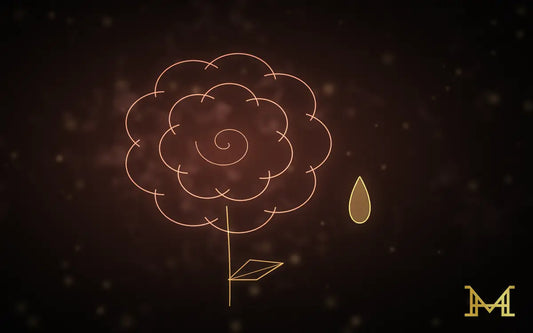 Goldene Rose mit Öltropfen, Sinnbild für kostbares Rosenöl